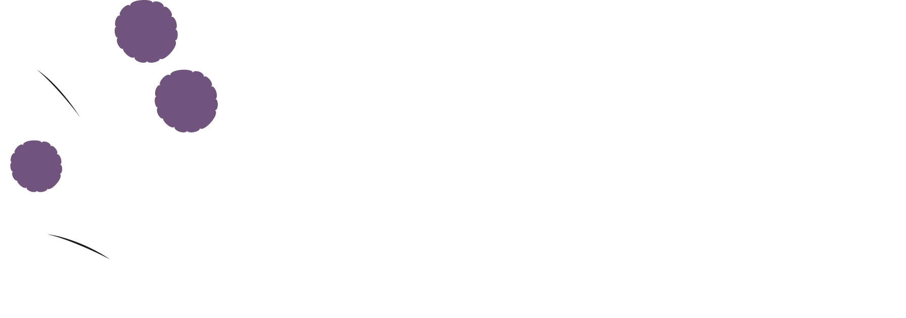 Acacia Devs Logo